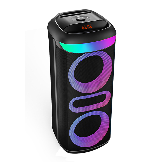 Portable Dual 8'' Party Speaker PT9810