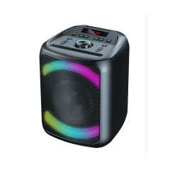 Portable 6.5'' Party Speaker PT607