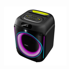 Portable 8'' Party Speaker PT809