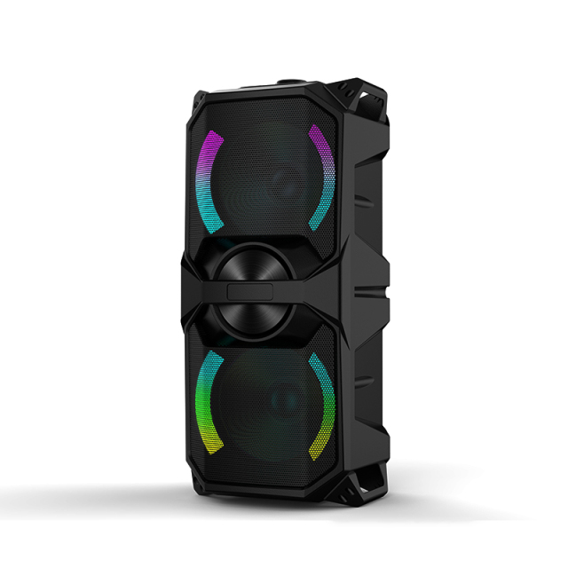 Portable Dual 6.5" Party Speaker PT9610