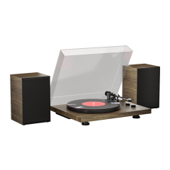 Turntable Player TR101