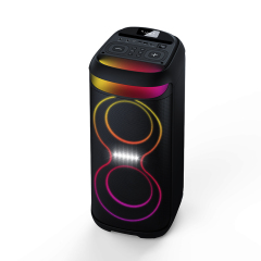 Portable Dual 6.5" Party Speaker PT9612B