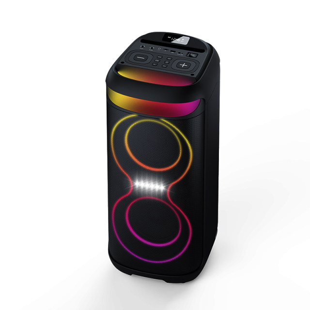 Portable Dual 6.5" Party Speaker PT9612B