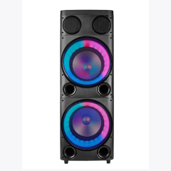 Dual 12" Power Party Speaker PT91208B