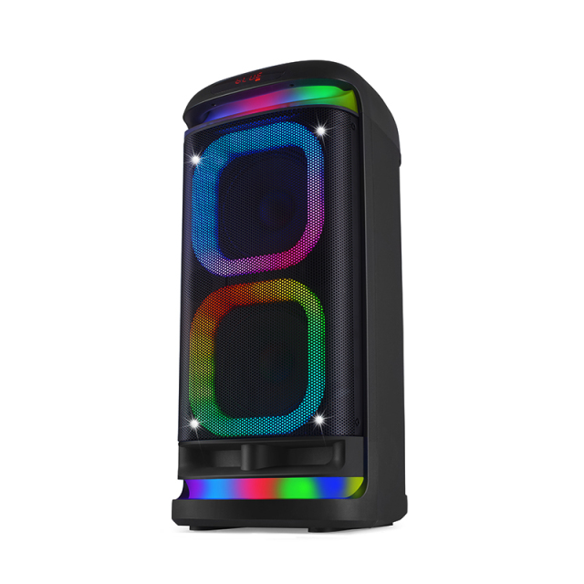 Portable Dual 6.5" Party Speaker PT9613B