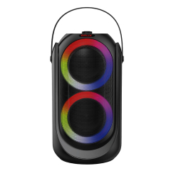 Portable Dual 6.5" Party Speaker PT9606