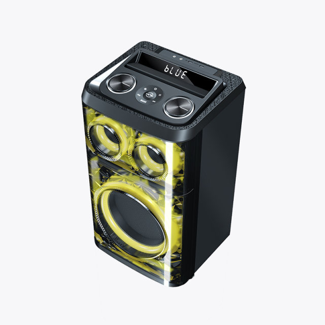 PT1219 Party Speaker DJ Speaker Trolley Deep bass Bluetooth Speaker