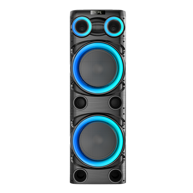 Dual 12" Party Speaker PT91229