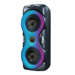 Dual 12" Power Party Speaker PT91206