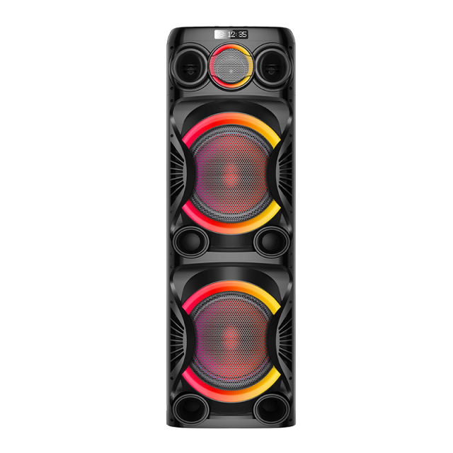 Dual 12" Party Speaker PT91228