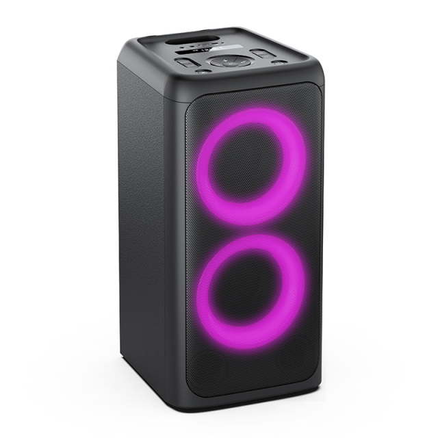 Dual 8" Party Speaker With JBL Lighting Effect PT9812