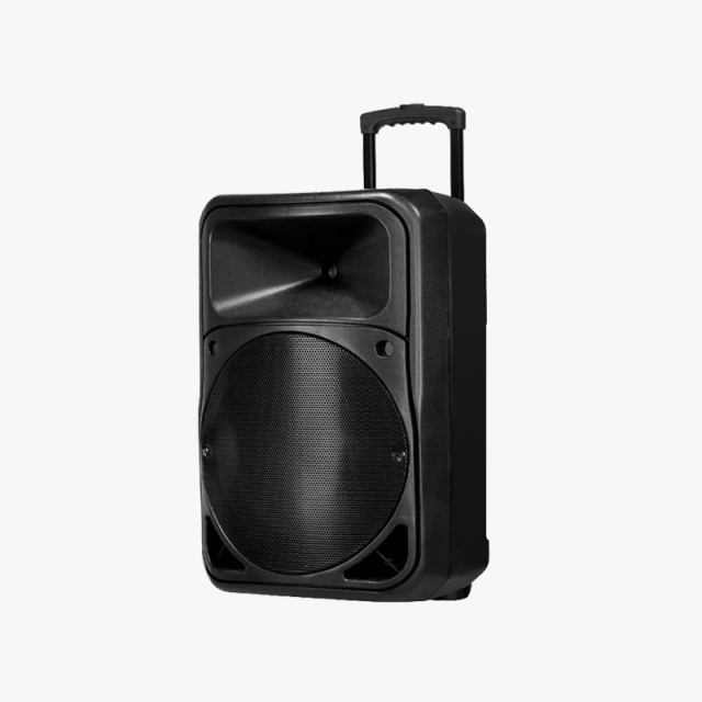PT1205 Trolley Bluetooth Music Box Speaker with PA Function and Microphone Input