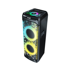 Dual 10" Party Speaker PT91006