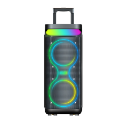 Dual 8" Portable Bluetooth Party Speaker with LED Light Show and OEM Support PT9807