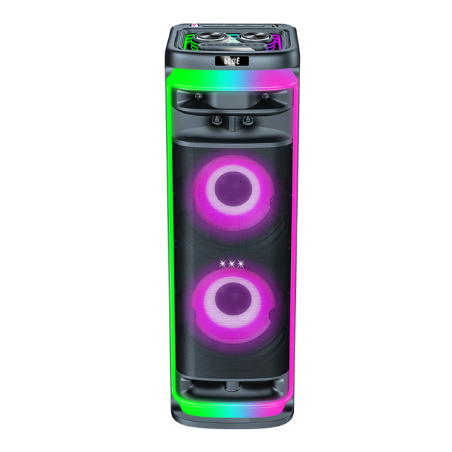 PT91525 dual 15 inch loud party speaker with dynamic lighting