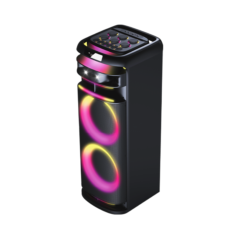 12 Inch Karaoke Party Speaker Manufacturer – PT91225 High Power BT Speaker OEM
