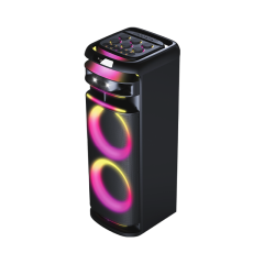 12 Inch Karaoke Party Speaker Manufacturer – PT91225 High Power BT Speaker OEM