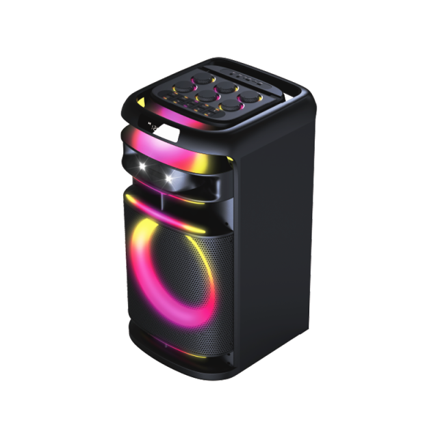 PT1225 12-inch Bluetooth party speaker with RGB lighting for OEM