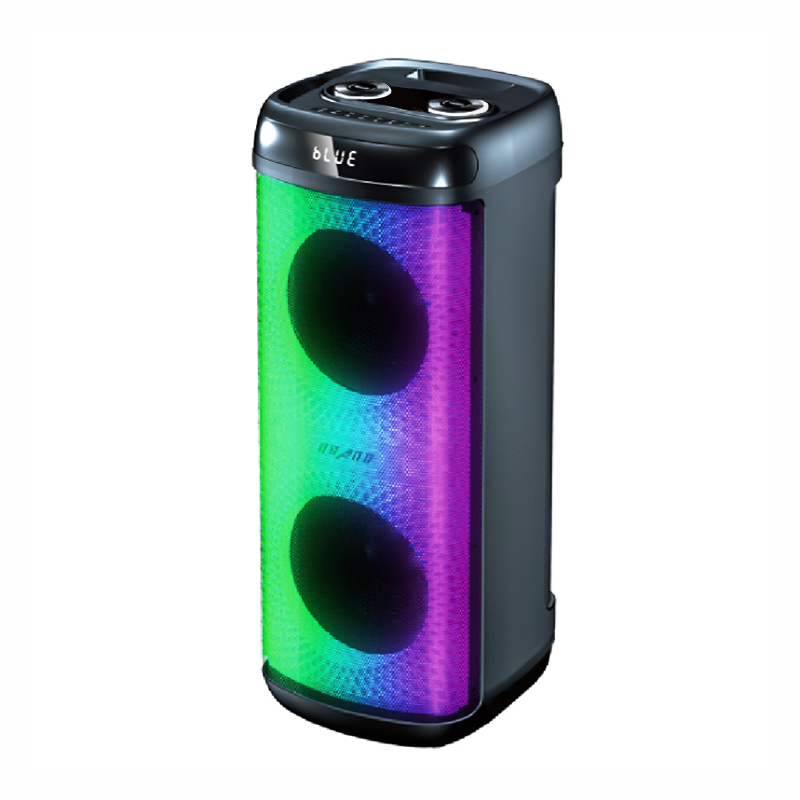 Portable Wireless Bluetooth Speaker Dual 10" Woofer Karaoke Machine PT91009