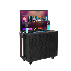 Best Rated Karaoke Machine Pk1002 | Factory OEM Available