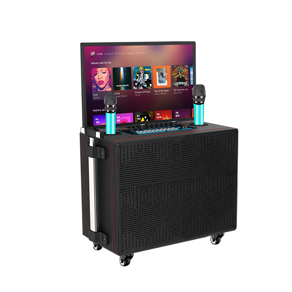 Best Rated Karaoke Machine Pk1002 | Factory OEM Available