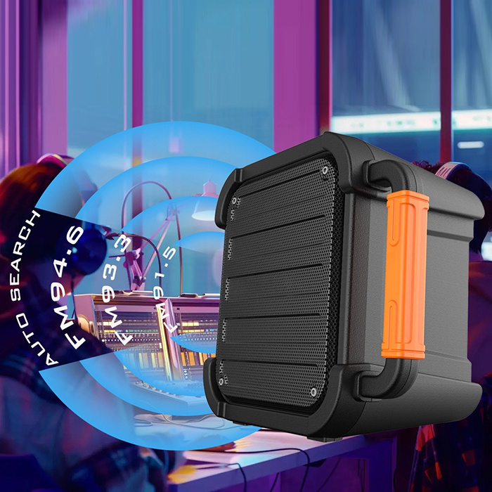 Portable BT Speaker Outdoor Speaker PT620 & PT820 | Custom OEM Factory