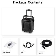 PT860A Bluetooth Party Speaker with USB Playback