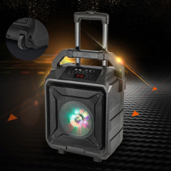 PT860A Outdoor Bluetooth Speaker with DJ Light