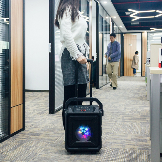 PT860A Portable Speaker Microphone Input Ports