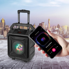 PT860A Bluetooth Speaker with Deep Bass and Crisp Treble