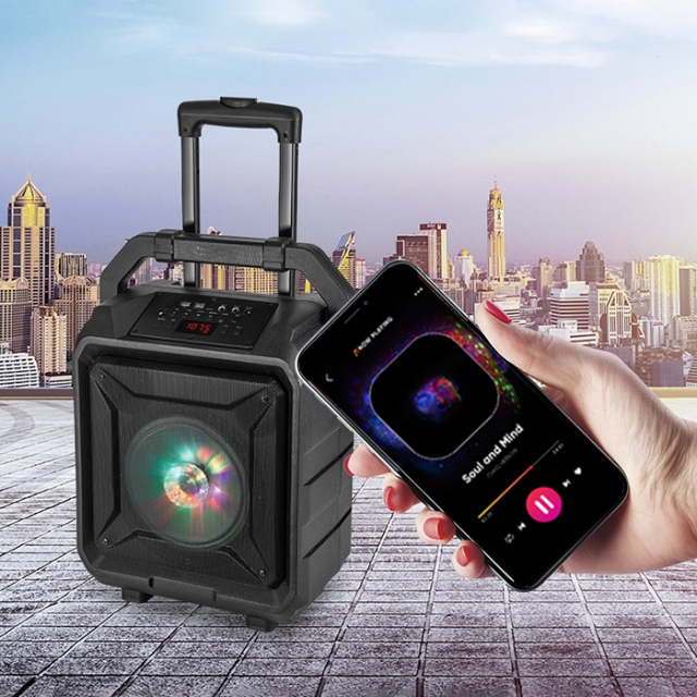 PT860A Bluetooth Speaker with Deep Bass and Crisp Treble