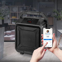 PT860A Bluetooth Speaker with payment comfirmation audio speaker