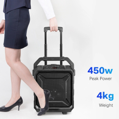 PT860A Outdoor Speaker with Trolley Handle 450w 4kg