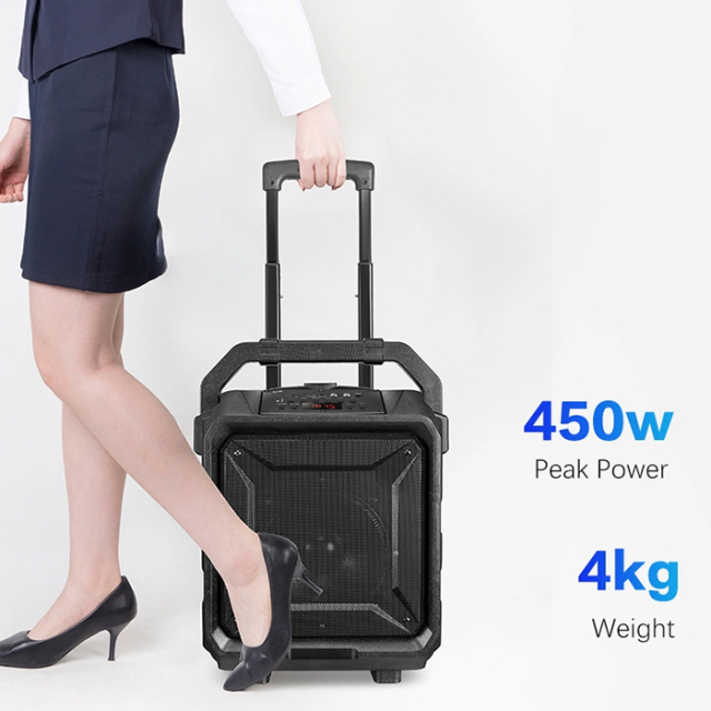 PT860A Outdoor Speaker with Trolley Handle 450w 4kg