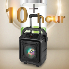 PT860A Portable Bluetooth Speaker 10 Hours Play Time