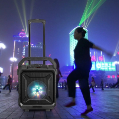 PT860A Portable Speaker with LED Display and EQ Modes