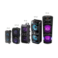 Karaoke party speaker dual 4 6.5 8 10 12 inch speaker drivers.jpg