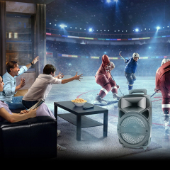 PT600 Bluetooth Party Speaker Dj Night Scene