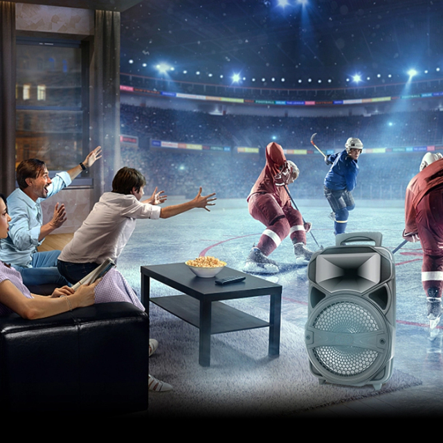 PT600 Bluetooth Party Speaker Dj Night Scene