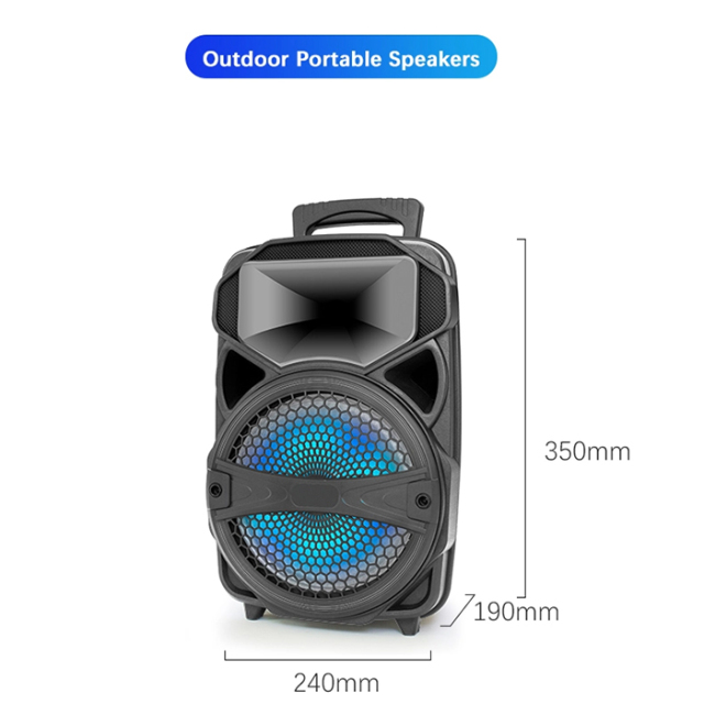 PT600 Led Light Speaker Music Sync Effect