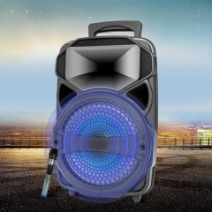 PT600 Oem Bluetooth Speaker Logo Printing