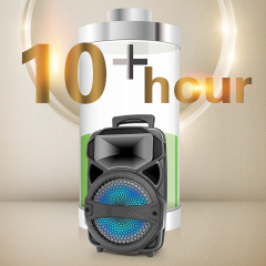 PT600 Oem Portable Speaker Custom Process