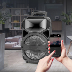 PT600 Oem Portable Speaker Factory Workshop