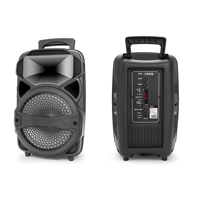 PT600 Outdoor Wireless Speaker Picnic Setup