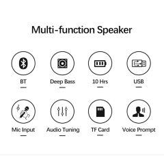 PT600 Party Speaker Bass Speaker Unit Highlight