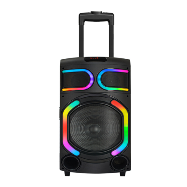 PT1501 Portable Bluetooth Speaker PA System Trolley Outdoor Speaker