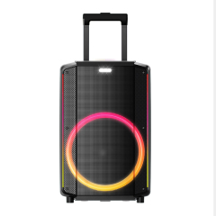 PT1508 Trolley Outdoor Speaker Bluetooth Party Speaker Wireless PA System 
