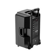 PT1508 Back Panel of PA System with Pull out Handle and Wheels