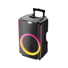 PT1508 Portable PA System with Pull out Handle and Wheels