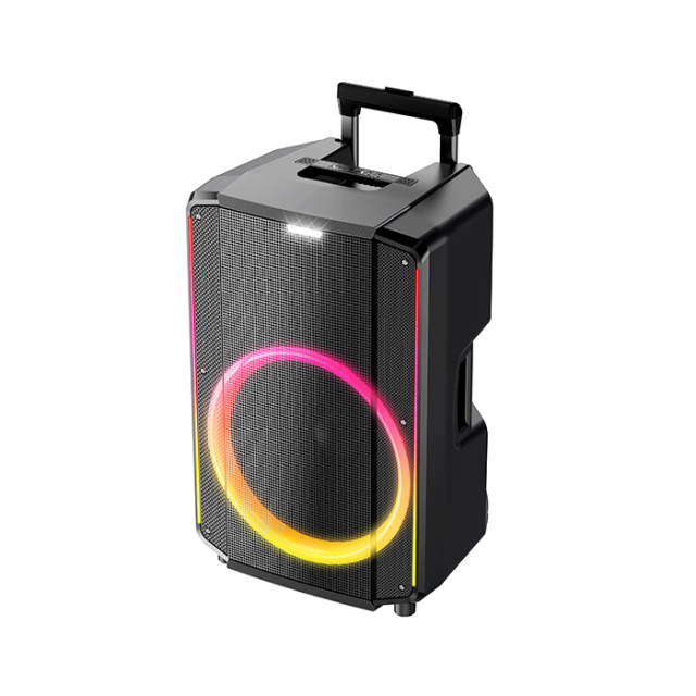 PT1508 Portable PA System with Pull out Handle and Wheels